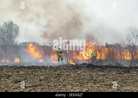 Feuerwehrleute mit Handwerkzeugen, um einen sich ausbreitenden Grünlandbrand mit Flammen und Rauch über ein ländliches Feld zu kontrollieren, aktive Notfallszenarien Stockfoto
