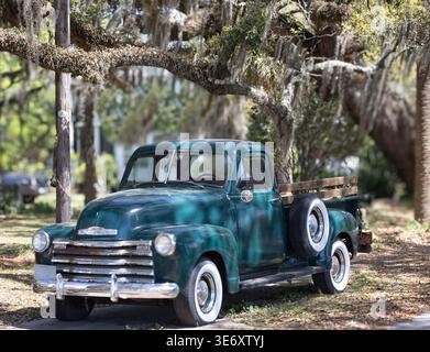 Grüner Vintage-Pickup-Truck, der unter lebenden Eichenbäumen mit spanischem Moos in McClellanville, South Carolina, USA, geparkt wird. Stockfoto