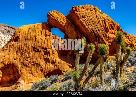 Eine wunderschöne rote Felsformation, die aussieht wie eine große Schildkröte, die einen anderen Felsen küsst. Im Whitney Pocket Area des Gold Butte National Monument. Stockfoto