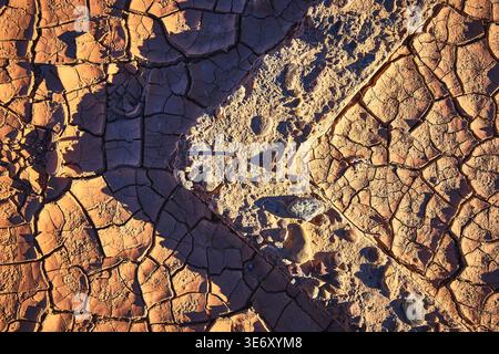 Zerrissene Wüstenschlammstruktur und Steine im Sonnenlicht Nevada Geisterstadt Stockfoto