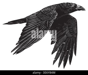 Realistische schwarze Krähen- oder Rabenvogel-Illustrationszeichnung in traditionellem handgezeichnetem Stil. Holzschnitt- oder Gravurtinte, Scratchboard-Linearkunst Stock Vektor