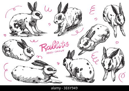 Kaninchen- oder Hasenmalerei in verschiedenen Posen. Handgezeichnete Illustration im traditionellen Linienstil. Stock Vektor