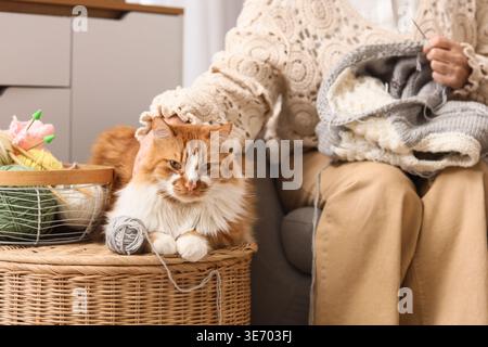 Ältere Frau mit süßem flauschigen Katzenstrickpullover im Sessel zu Hause Stockfoto