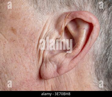 Makro Nahaufnahme der winzigen modernen Hörgerät hinter dem Ohr von älteren Erwachsenen Mann Stockfoto