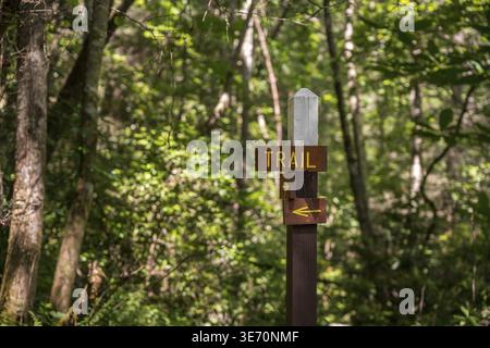 Holzschild zeigt die Richtung des Wanderweges in einem sonnendurchfluteten Wald oder Wald Stockfoto