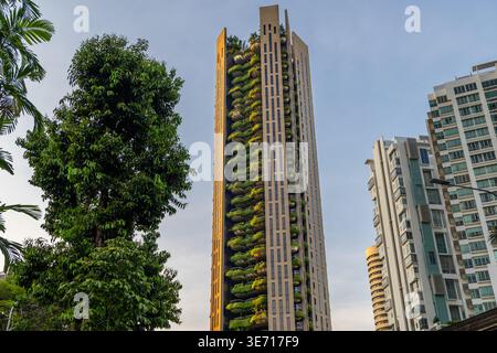 Modernes Hochhaus mit üppigen vertikalen Gärten und biophilem Design im Stadtzentrum von Singapur während des Tages. Aufnahmen mit niedrigem Winkel, die Sustain zeigen Stockfoto
