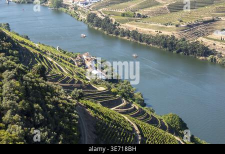 Terrassen von Weinreben für die Portweinerzeugung begrenzen die Hügel des Douro-Tals in Portugal Stockfoto