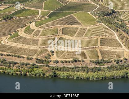 Terrassen von Weinreben für die Portweinerzeugung begrenzen die Hügel des Douro-Tals in Portugal Stockfoto