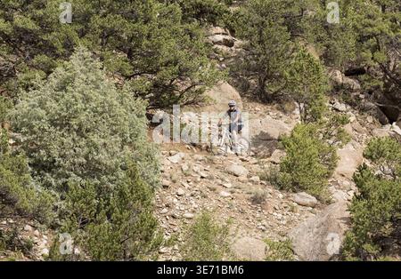 Mountainbiker auf dem Dirt Trail am Berghang über Buena Vista in Colorado auf steilem Pfad Stockfoto