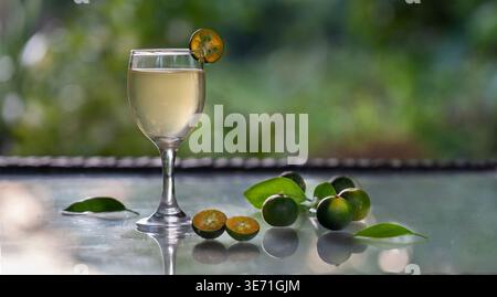 Ein erfrischendes Glas Calamansi-Saft, serviert in einem Becher mit Stielen und einer Scheibe Beilage, umgeben von frischen Calamondin-Früchten und grünen Blättern Stockfoto