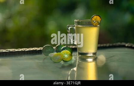 Ein erfrischendes Glas Calamansi-Saft, serviert in einem Becher mit Stielen und einer Scheibe Beilage, umgeben von frischen Calamondin-Früchten und grünen Blättern Stockfoto