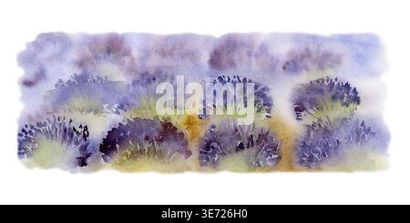 Close View Lavendelblüten in sich wiederholenden blühenden Clustern, ausdrucksstarke lila Aquarelle handgezeichnete Texturen. Botanische Muster, Parfümverpackung Stockfoto