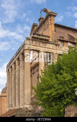 Der Tempel von Antoninus Pius und Faustina im Forum Romanum in Rom, Italien Stockfoto