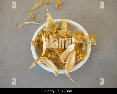 Getrocknete Limettenblüten zum Heilen von Limettenblütentee in einer Porzellanschale Stockfoto