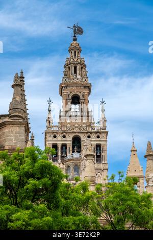 Der obere Teil und das Dach der Kathedrale von Sevilla erheben sich vor einem blauen Himmel. Im Vordergrund stehen grüne Bäume, mit zusätzlichen Türmen und architektonischen Details der Kathedrale. Stockfoto