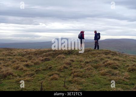 Zwei ältere Männer (Wanderer) stehen auf dem Gipfel des „Grizedales Hill“ mit „Pen-y-ghent“ im Hintergrund in den Yorkshire Dales, England, Großbritannien Stockfoto