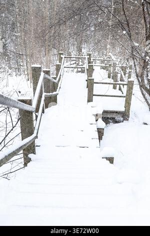 Holzsteg Und Geländer Mit Frischem Schnee Führen Durch Winterwald Stockfoto