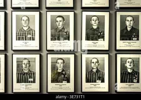 Porträts der KZ-Opfer Auschwitz im Staatlichen Museum Auschwitz-Birkenau in Polen Stockfoto