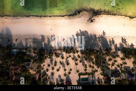 Aus der Vogelperspektive auf den hellen Sand der Küste, umgeben vom türkisfarbenen Meer, Palmen, die Schatten am Strand werfen, Paje, Tansania. Stockfoto