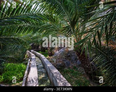 Ein Spaziergang durch das historische Museumsdorf Misfat al Abriyyin, Oman Stockfoto