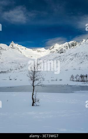 Malerische Schneelandschaft, Kattfjordvatnet, Troms, Norwegen Stockfoto