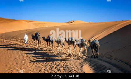 Die Kamelkarawane in der Wüste Erg Chebbi bei Merzouga wirft bei Sonnenuntergang lange Schatten Stockfoto