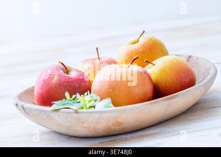 Frisch geerntete rote und gelbe Äpfel mit Wassertropfen auf einem hellen Holztisch Stockfoto