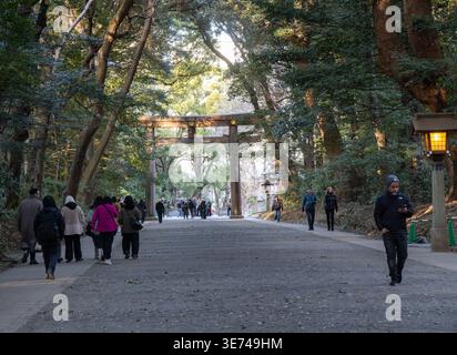 Ein breiter Schotterweg führt durch einen dichten Wald zu einem traditionellen hölzernen Torii-Tor, auf dem mehrere Personen entlang des Weges spazieren Stockfoto