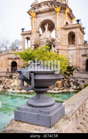 Elegante Gusseisen-Gartenurne mit nachgestelltem Spargelfarn und barockem Brunnen im Hintergrund Barcelona Park Stockfoto