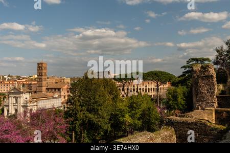 panoramablick auf Forum und Kolosseum in Rom im Frühling vom Palatin aus, Italien Stockfoto