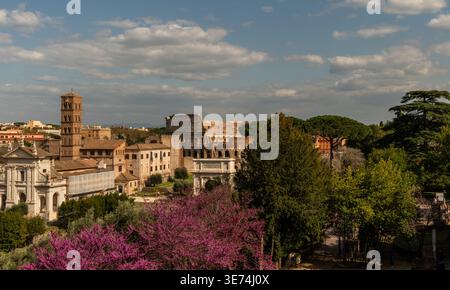 panoramablick auf Forum und Kolosseum in Rom im Frühling vom Palatin aus, Italien Stockfoto