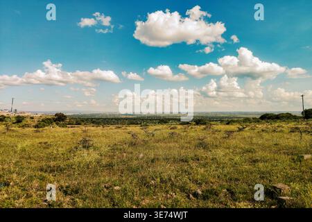 Malerischer Blick auf die Landschaft von Savanna mit Akazienbaum, Syokimau, Kenia Stockfoto