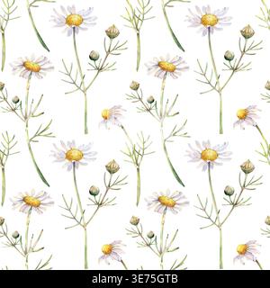 Handgemaltes nahtloses Muster in Aquarellen mit zarten Blüten der wilden Kamille auf schlanken grünen Stielen. Minimalistischer botanischer Wiederholungsdruck Stockfoto