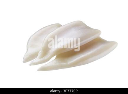 Frische, rohe Tintenfische. Tintenfischröhren isoliert auf weißem Hintergrund. Frisches, rohes Tintenfisch- oder Tintenfischfilet, isoliert auf weißem Hintergrund Stockfoto