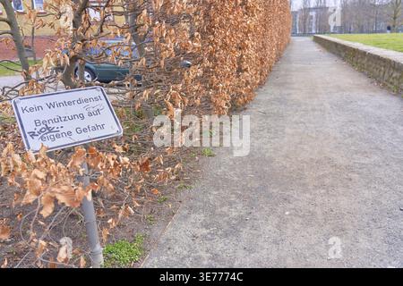 Kein Winterdienst, Nutzung auf eigene Gefahr, Bürgersteig im Park neben Hecke mit verwelkenden Blättern, die seit letztem Herbst in Erfurt, Thuring, ausgetrocknet sind Stockfoto