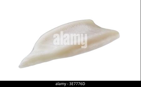 Frische, rohe Tintenfische. Tintenfischröhren isoliert auf weißem Hintergrund. Frisches, rohes Tintenfisch- oder Tintenfischfilet, isoliert auf weißem Hintergrund Stockfoto