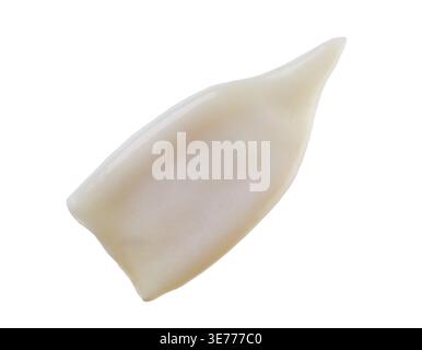Frische, rohe Tintenfische. Tintenfischröhren isoliert auf weißem Hintergrund, Draufsicht. Frisches, rohes Tintenfisch- oder Tintenfischfilet, isoliert auf weißem Hintergrund Stockfoto