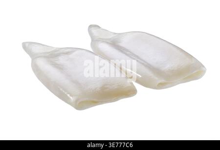 Rohe Tintenfischröhren isoliert auf weißem Hintergrund. Frisches, rohes Tintenfisch- oder Tintenfischfilet, isoliert auf weißem Hintergrund. Frische Meeresfrüchte, isoliert Stockfoto