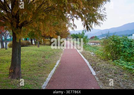 Ein roter Flussweg führt durch Herbstbäume neben dem Taehwagang in Ulju-Gun, mit Schilf und blassen Bergen, die den oberen Flußkorridor umrahmen. Stockfoto