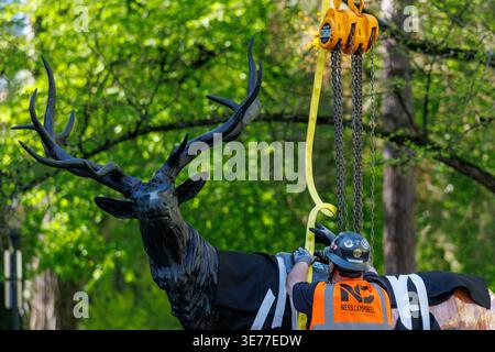 Portland, USA. April 2026. PORTLAND, OREGON, USA – 9. April 2026: Die Thompson Elk, eine 6.800 Pfund schwere Bronzestatue im Zentrum von Portland, wurde heute auf ihrem Sockel ersetzt, nachdem sie 2020 während der Black Lives Matter Proteste zur Verwahrung entfernt worden war. The Elk, ein Wahrzeichen an der Main Street in Portland, war ein Geschenk des ehemaligen Bürgermeisters David Thompson im Jahr 1900. (Foto: John Rudoff/SIPA USA) Credit: SIPA USA/Alamy Live News Stockfoto