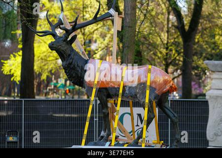 Portland, USA. April 2026. PORTLAND, OREGON, USA – 9. April 2026: Die Thompson Elk, eine 6.800 Pfund schwere Bronzestatue im Zentrum von Portland, wurde heute auf ihrem Sockel ersetzt, nachdem sie 2020 während der Black Lives Matter Proteste zur Verwahrung entfernt worden war. The Elk, ein Wahrzeichen an der Main Street in Portland, war ein Geschenk des ehemaligen Bürgermeisters David Thompson im Jahr 1900. (Foto: John Rudoff/SIPA USA) Credit: SIPA USA/Alamy Live News Stockfoto