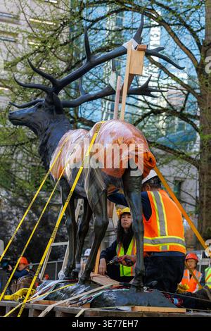 Portland, USA. April 2026. PORTLAND, OREGON, USA – 9. April 2026: Die Thompson Elk, eine 6.800 Pfund schwere Bronzestatue im Zentrum von Portland, wurde heute auf ihrem Sockel ersetzt, nachdem sie 2020 während der Black Lives Matter Proteste zur Verwahrung entfernt worden war. The Elk, ein Wahrzeichen an der Main Street in Portland, war ein Geschenk des ehemaligen Bürgermeisters David Thompson im Jahr 1900. (Foto: John Rudoff/SIPA USA) Credit: SIPA USA/Alamy Live News Stockfoto