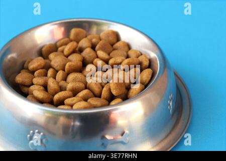 Braunes Trockenfutter auf glänzender, verzierter silberner Tiernahrungsschale auf unendlichem hellblauem Hintergrund. Konzept: Nahrhaftes Hundefutter zum Verzehr. Stockfoto
