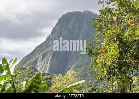 Ella Felsenberg in Sri Lanka. Üppige tropische Berglandschaft mit dichtem Grün und bewölktem Himmel, ruhige natürliche Schönheit in einer lebendigen Ökologie Stockfoto