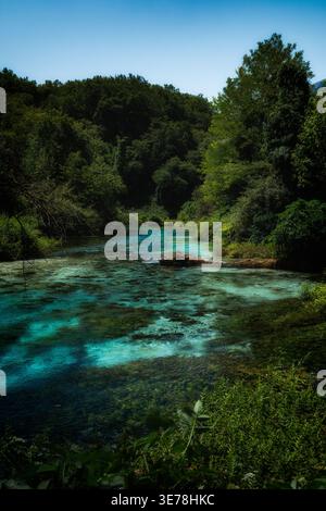 Kristallklares türkisfarbenes Quellwasser umgeben von üppigem Wald Stockfoto