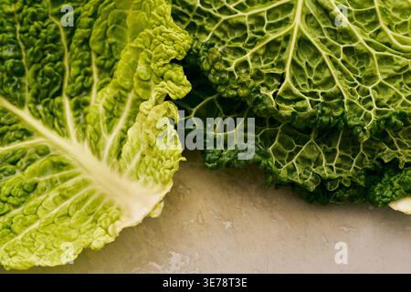 Nahaufnahme strukturierter, leuchtend grüner Wirsingkohl-Blätter Stockfoto