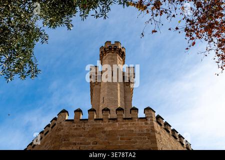 Flacher Blick auf einen Steinturm mit Zinnen, der über einer zinnenbefestigten Mauer ragt, eingerahmt von grünen Ästen vor blauem Himmel mit Wolken. Stockfoto