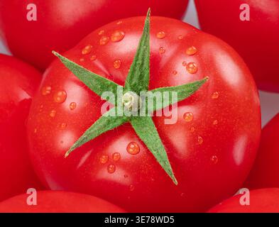 Makroaufnahme von Reifen Tomaten mit Wassertropfen. Bio-Tomatengemüse perfekt für gesunde Mahlzeiten. Stockfoto