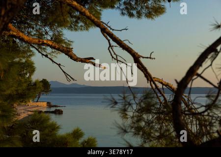 Sonnenuntergang durch Äste über der ruhigen Adria. Friedliche abendliche Küstenszene. Stockfoto