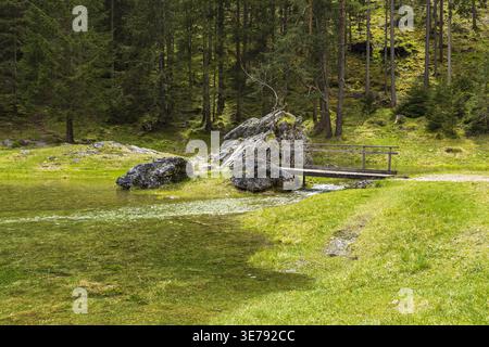 Kleine Holzbrücke über den Bach im Wald in der Nähe des Alpensees in den österreichischen Alpen. Malerische Natur. Stockfoto